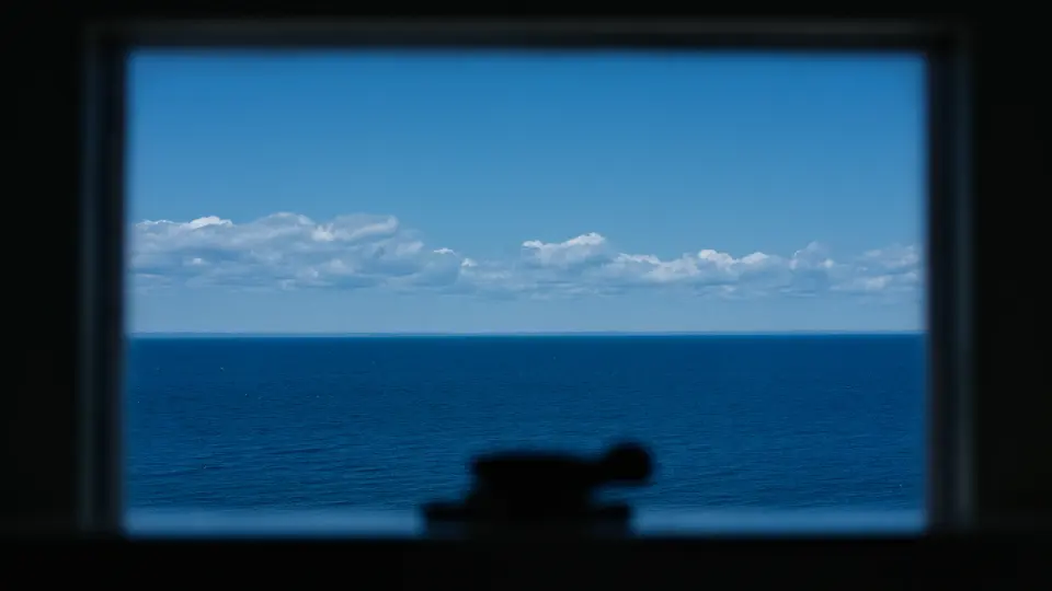 海